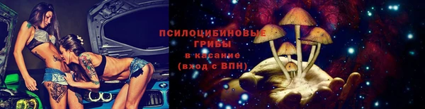 стаф Алексеевка