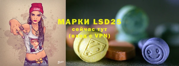 дмт Вяземский