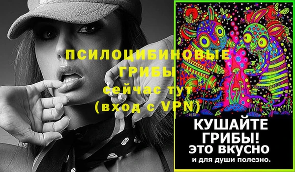 стаф Алексеевка